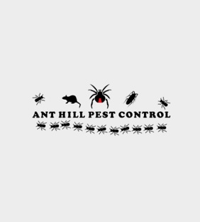 Ant hill pest control | 86 Miller Rd, Miller NSW 2168, Australia | Phone: 1300 070 958