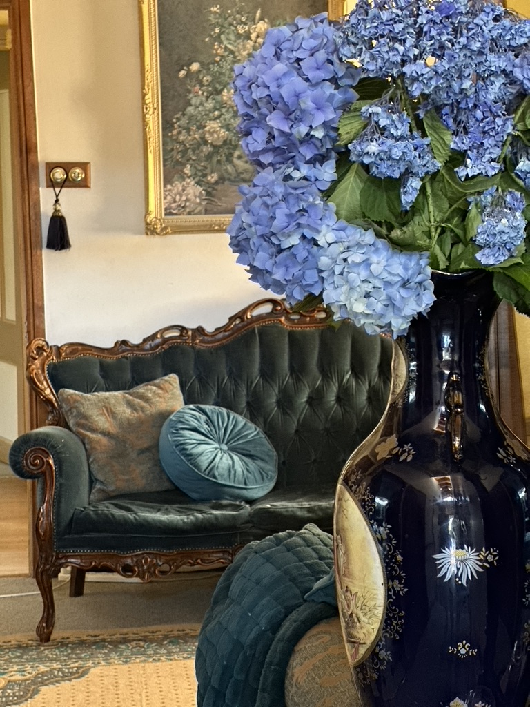The Dragons Parlour | Antibes St, Parkdale VIC 3195, Australia | Phone: 0406 754 049