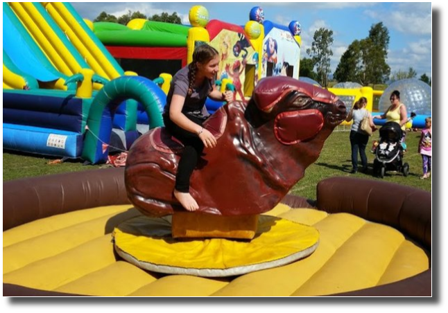 All About Fun Amusements | 49-55 Holyman Ct, Jimboomba QLD 4280, Australia | Phone: (07) 5540 3957