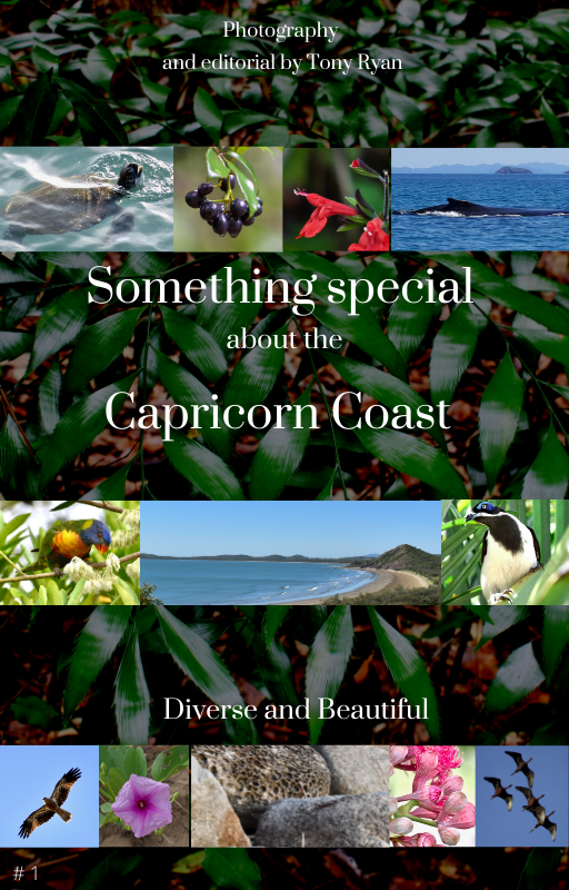 capturingCQnaturally | 2 Coast Ct, Mulambin QLD 4703, Australia | Phone: 0438 997 510