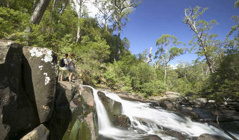 Barrington Tops National Park | New South Wales, Australia | Phone: (02) 6538 5300
