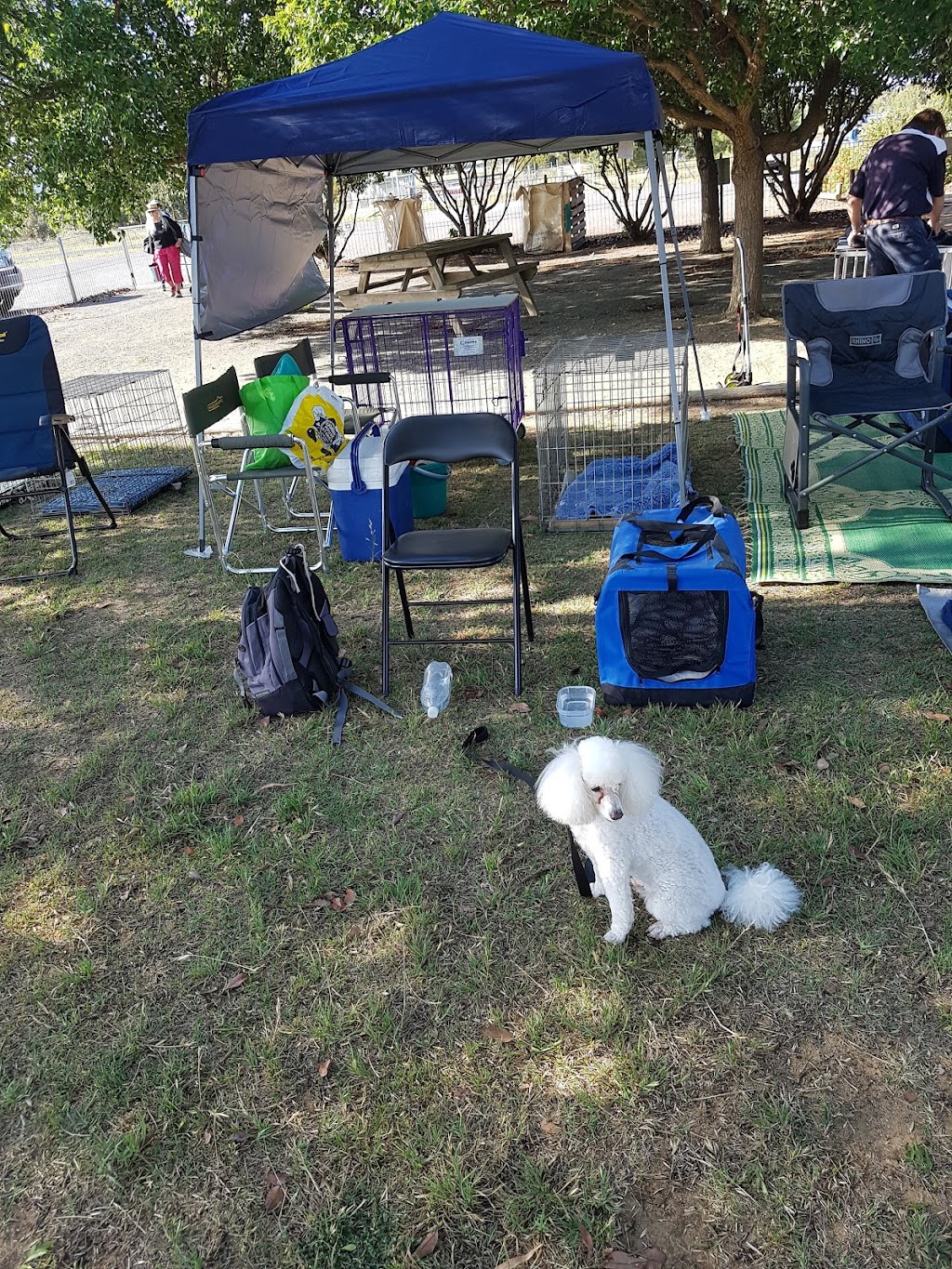 Belconnen Dog Obedience Club |  | 1 Morisset Rd, Mitchell ACT 2912, Australia | 0251050992 OR +61 2 5105 0992