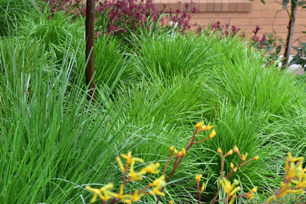 Florioscape Gardens | Lennox Head NSW 2478, Australia | Phone: 0428 059 104