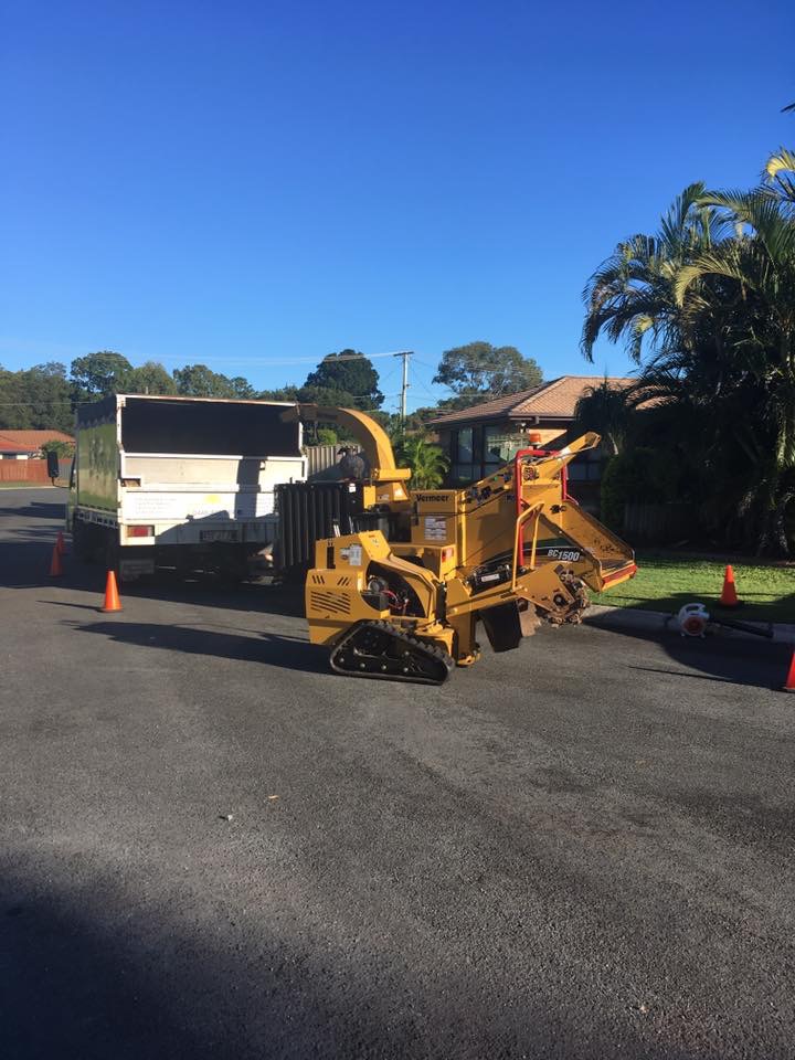 Community Tree Services - Arborists Tree Lopping & Stump Grindin | 17 Centenary Rd, Slacks Creek QLD 4127, Australia | Phone: 0420 954 062