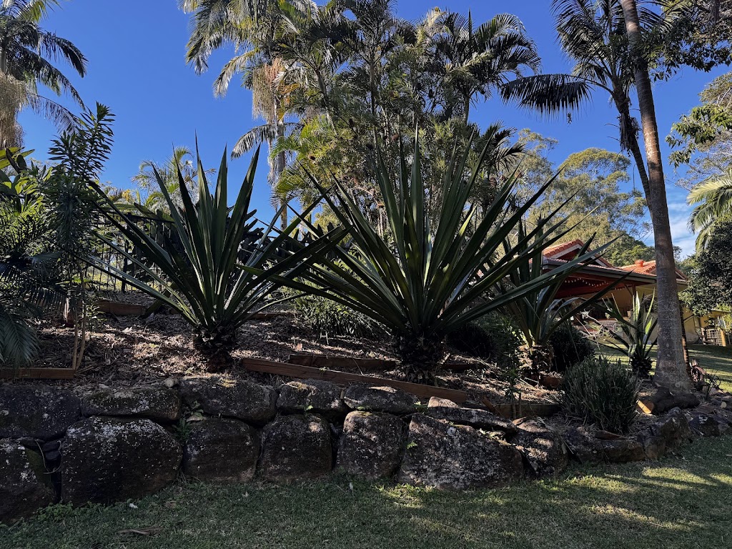 Viriditas Gardens | 1141A Main Arm Rd, Upper Main Arm NSW 2482, Australia | Phone: 0402 089 573