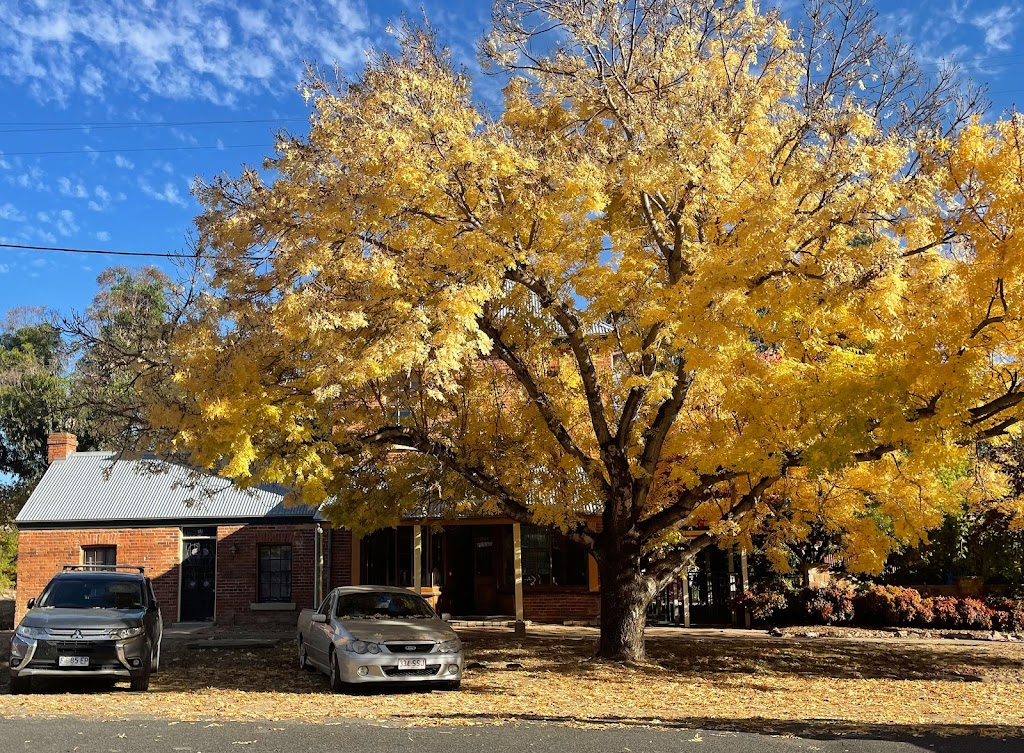 A Thousand Words Gallery Carcoar | 11 Icely St, Carcoar NSW 2791, Australia | Phone: 0414 550 223