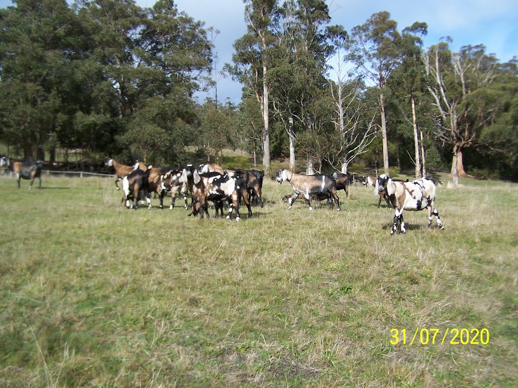 Killara-Ram Dairy Goats | 99 Misty Hill Rd, Mountain River TAS 7109, Australia | Phone: (03) 6266 4179