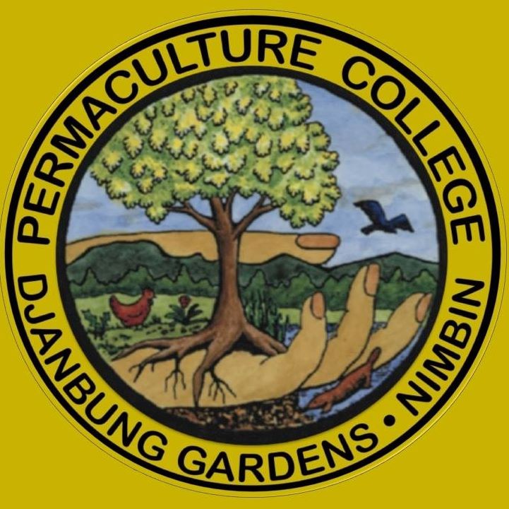 Bamboo Masterclass Workshop at Djanbung Gardens | 74 Cecil St, Nimbin NSW 2480, Australia | Phone: (02) 6689 1755