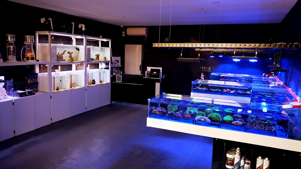 Exotic Aquaculture Australia - Marine Aquarium | 515 Nepean Hwy, Bonbeach VIC 3196, Australia | Phone: (03) 9773 2460