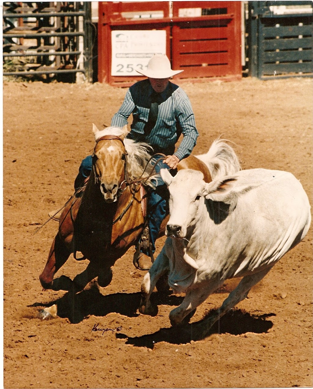 Ian Francis Horsemanship | 1014 Tingoora Chelmsford Rd, Chelmsford QLD 4606, Australia | Phone: (07) 4168 5444