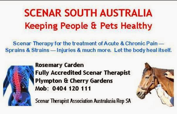 Scenar South Australia | doctor | Cherry Gardens Rd, Ironbank SA 5157, Australia | 0404120111 OR +61 404 120 111