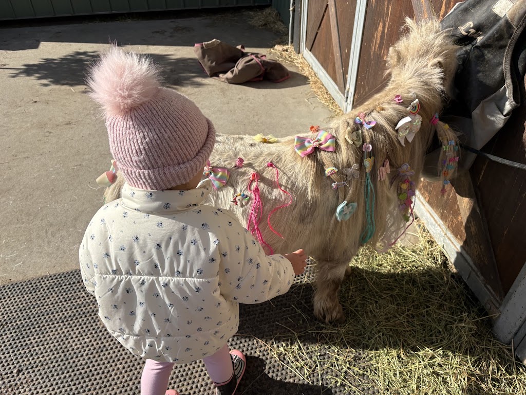 Little Farm Plays | 170 Thewlis Rd, Pakenham VIC 3810, Australia | Phone: 0409 197 969