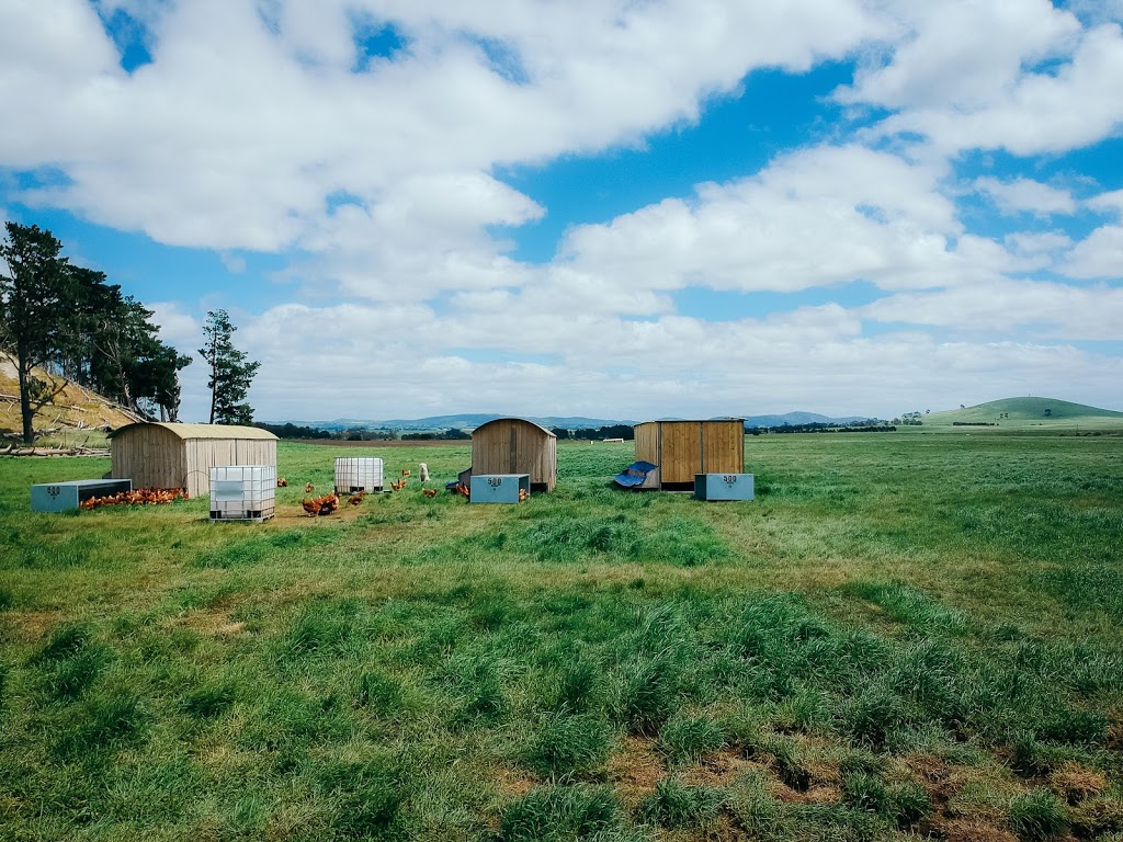 Creswick Open Range Farm | 110 Wrigleys Rd, Creswick North VIC 3363, Australia | Phone: 0427 365 297