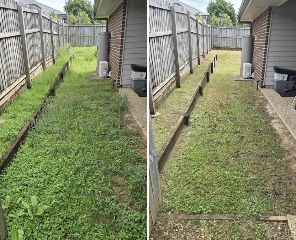 Christel clear lawn service | Unit 2 Karoonda Cl, Rathmines NSW 2283, Australia | Phone: 0431 488 521
