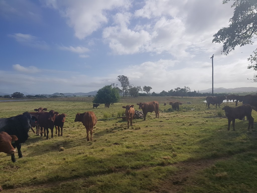 Greenmount Homestead | museum | Greenmount QLD 4751, Australia