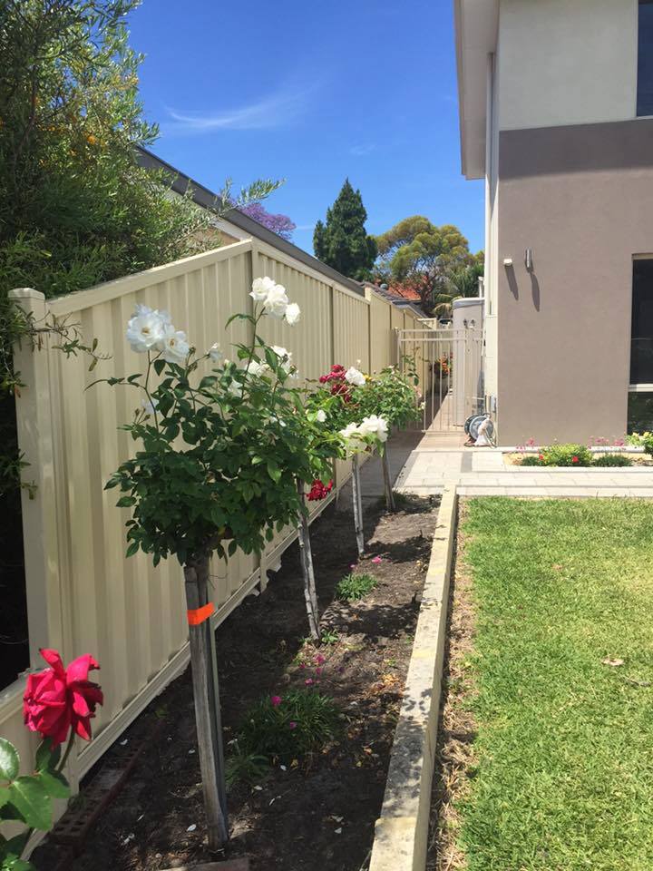 Ace Fencing | general contractor | 126 Starflower Rd, Henley Brook WA 6055, Australia | 0413870954 OR +61 413 870 954