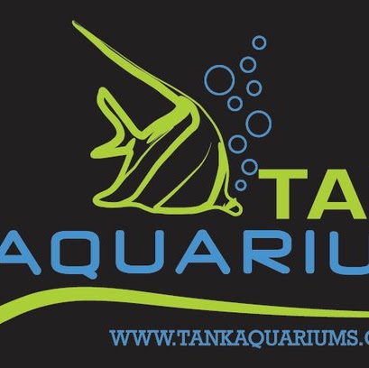 Tank Aquariums | pet store | 5/468-470 Pacific Hwy, Belmont NSW 2280, Australia | 0249450644 OR +61 2 4945 0644