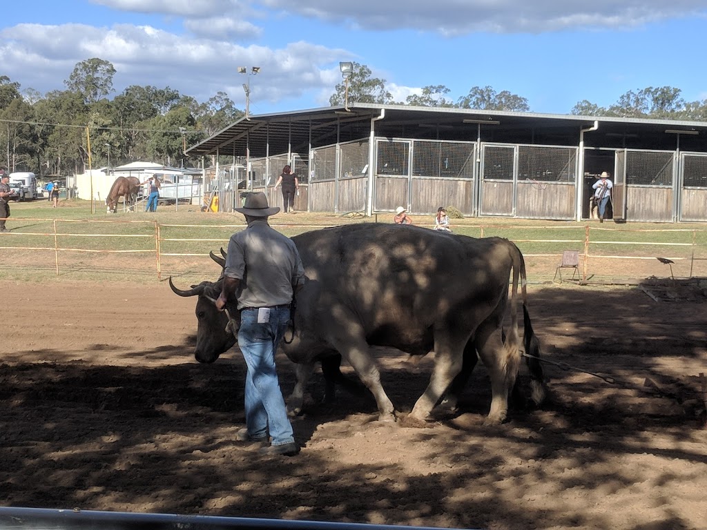 Gatton Show Society | Spencer St, Gatton QLD 4343, Australia | Phone: (07) 5462 2577