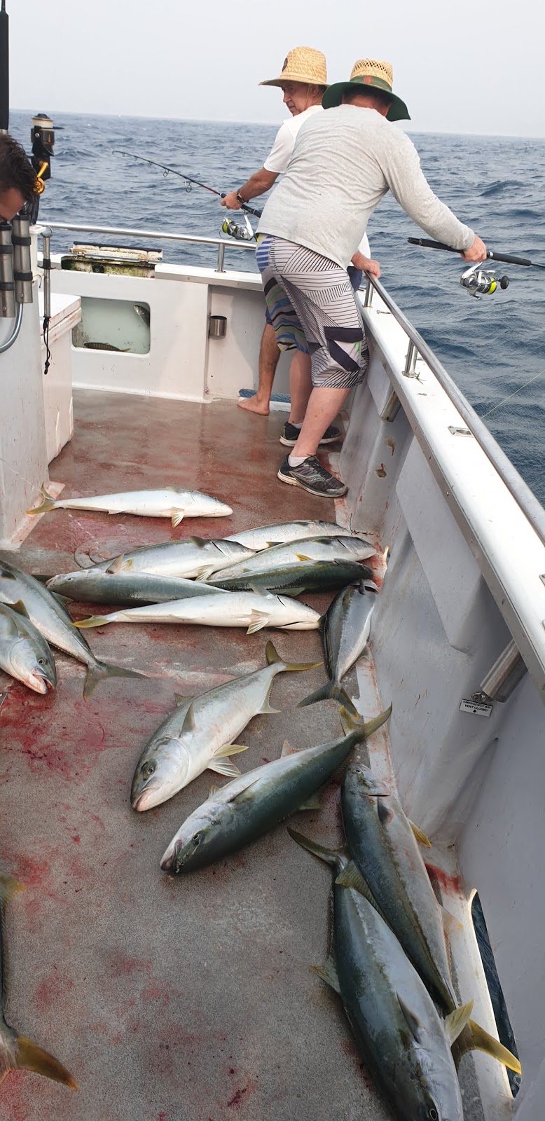 Terrigal Blue Water Charters | 1 Trevally Cl, Terrigal NSW 2260, Australia | Phone: 0418 293 886