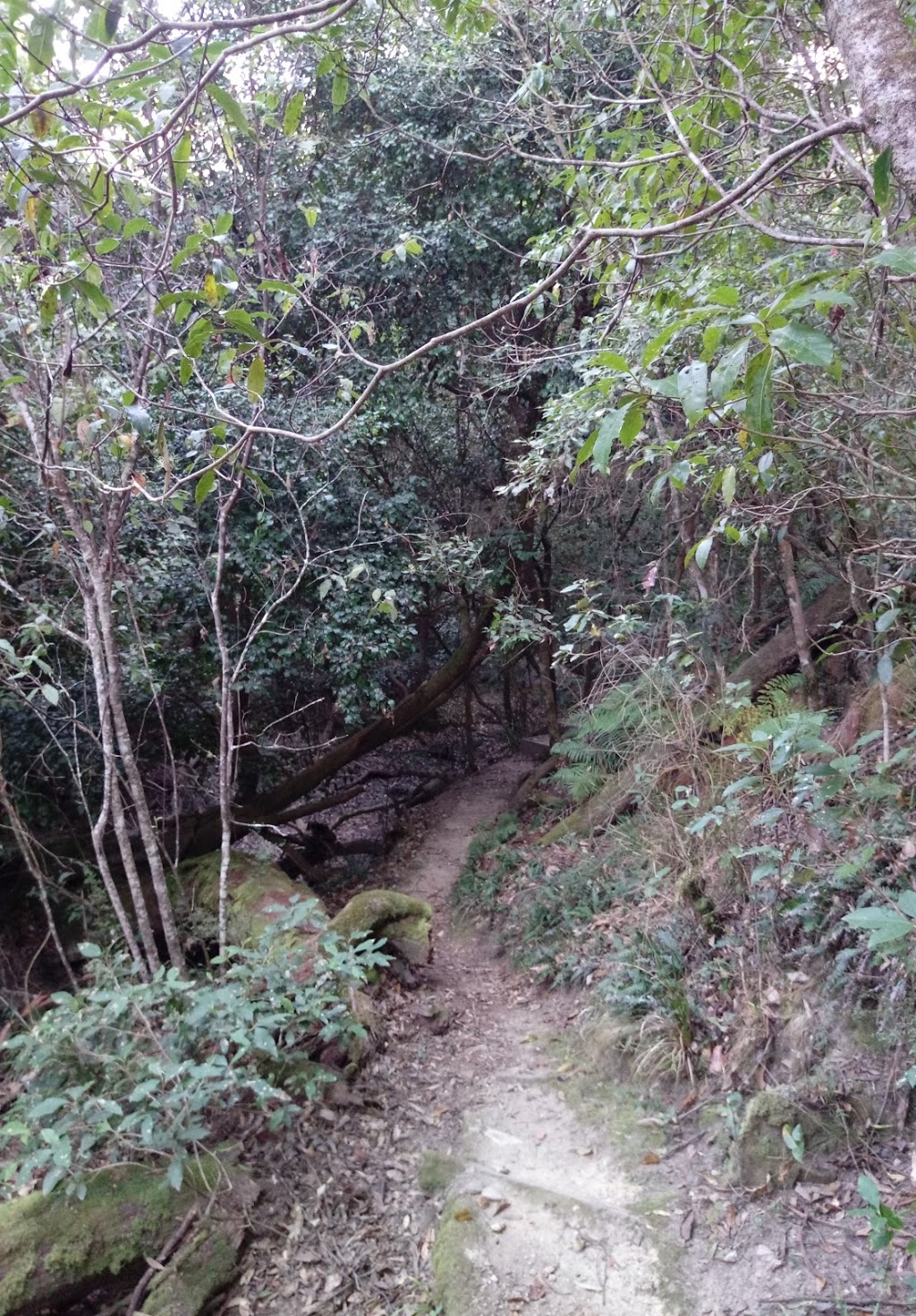 Double Creek Nature Walk | 1472 Genoa-Mallacoota Rd, Genoa VIC 3891, Australia