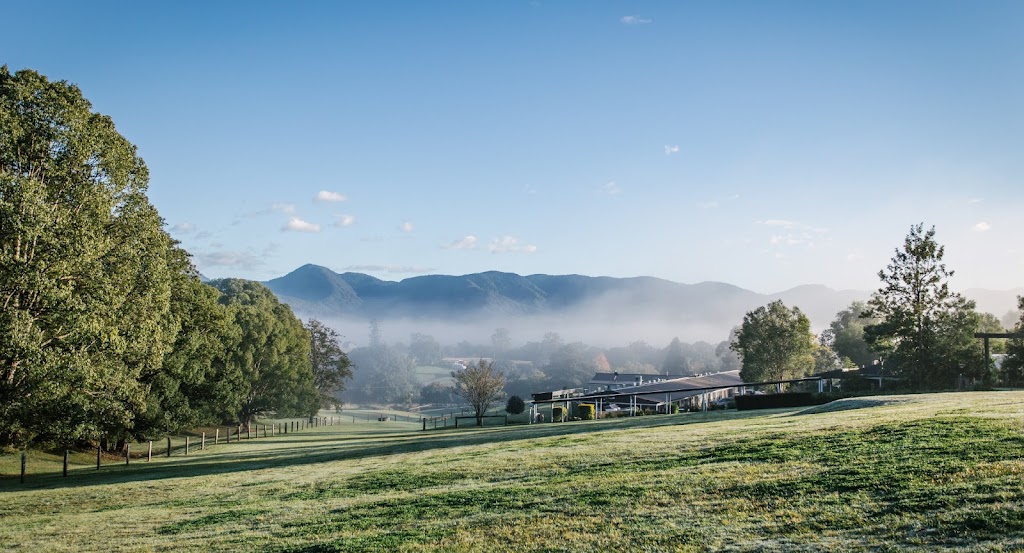 Three Blue Ducks Bellingen | 1381 Waterfall Way, Bellingen NSW 2454, Australia | Phone: (02) 7251 8668