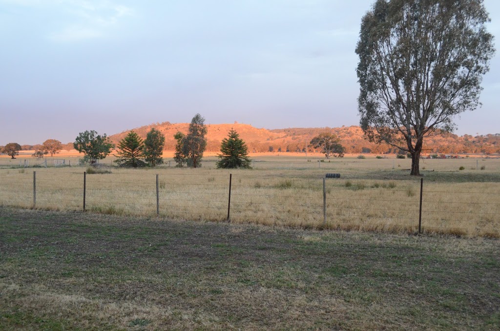 Mindful Lizard - Yoga and Meditation Retreats | 321 Alexandersons Rd, Locksley VIC 3764, Australia | Phone: 0422 472 190