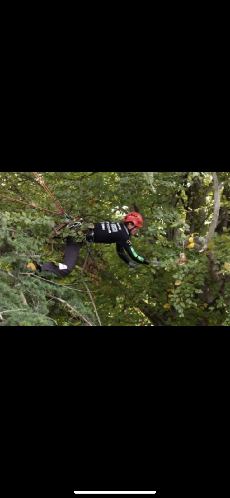 Ultimate Arbor | 406 Glenrowan Rd, Wangaratta South VIC 3678, Australia | Phone: 0477 776 131