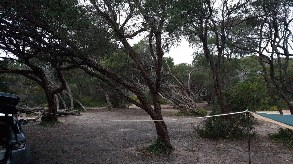 Campsite 18 | campground | 2151 Shoreline Dr, The Honeysuckles VIC 3851, Australia