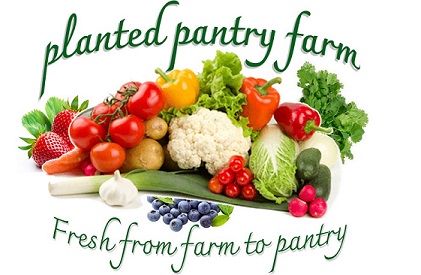 Planted Pantry Farm | food | 3130 Beechmont Rd, Witheren QLD 4275, Australia | 0414631772 OR +61 414 631 772
