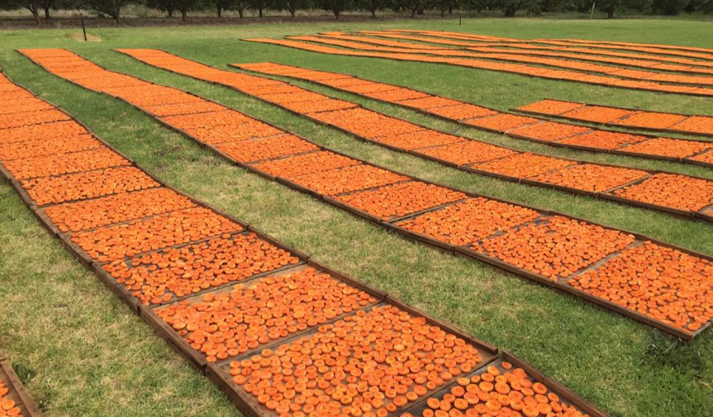 Mypolonga Orchard | 573 N Bokara Rd, Woodlane SA 5254, Australia | Phone: 0408 065 421