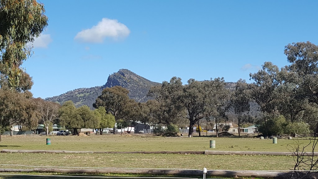 The Rock Recreation Ground | park | 60 Wilson St, The Rock NSW 2655, Australia