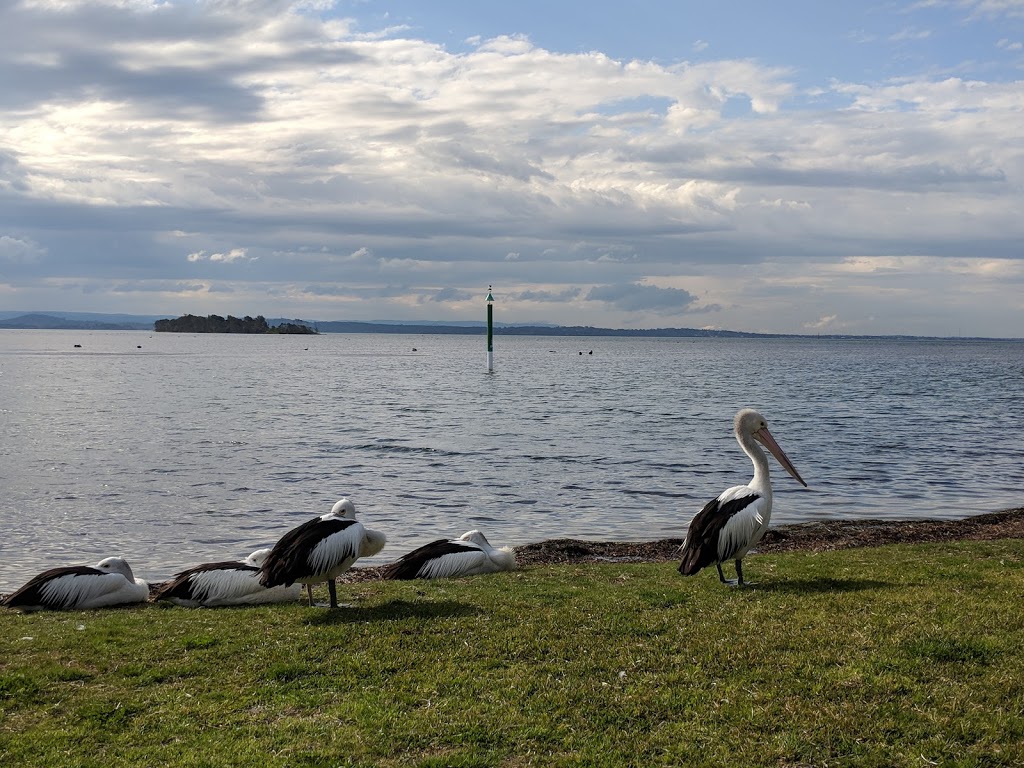 Picnic Point Reserve | 55 Lakeside Parade, The Entrance NSW 2261, Australia