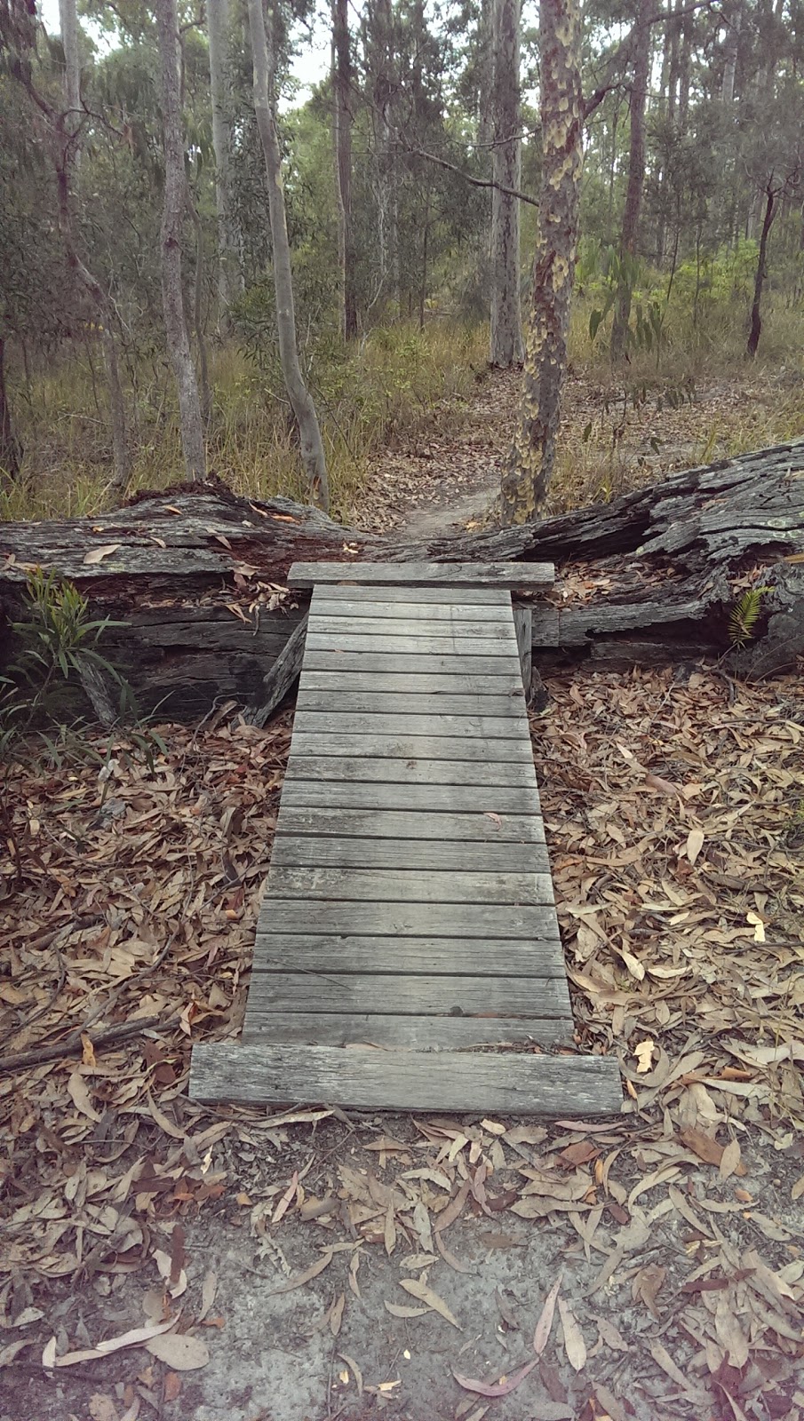 Bermagui Mountain Bike Park | Scenic Forest Dr, Bermagui NSW 2546, Australia