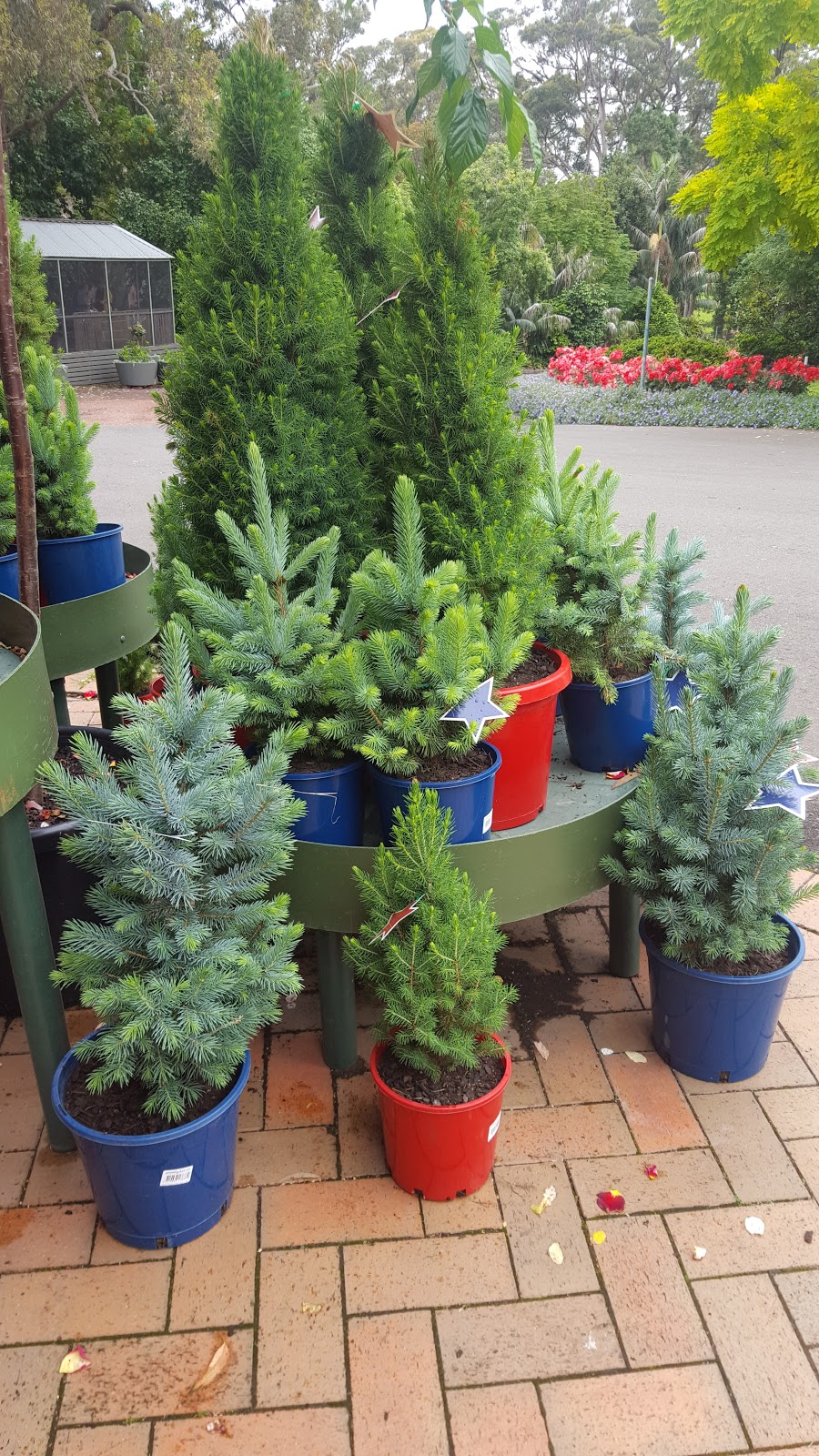 Swanes Nursery Dural | store | 490 Galston Rd, Dural NSW 2158, Australia | 0296511322 OR +61 2 9651 1322