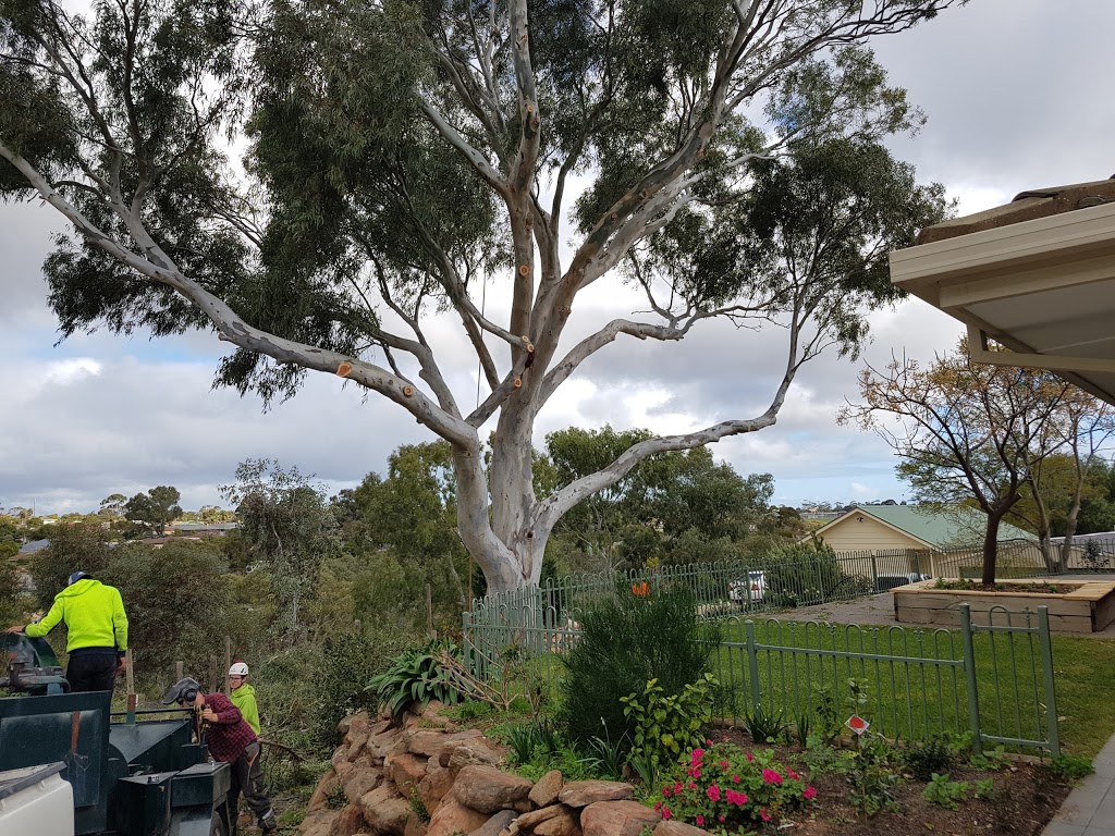 Dunkley Green | park | Brougham Dr, Valley View SA 5093, Australia