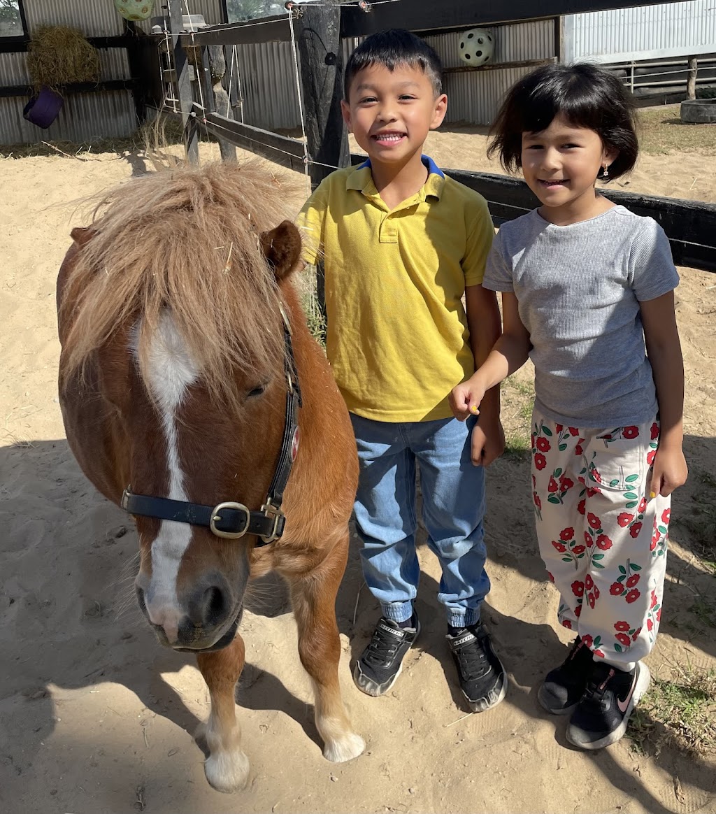 JW Equestrian | 109 Ryans Access Rd, Barnawartha VIC 3688, Australia | Phone: 0418 415 159