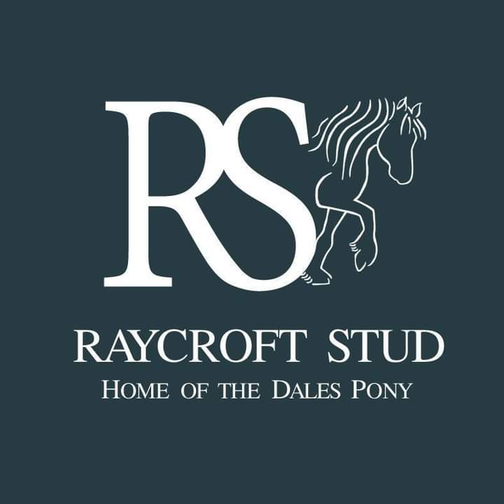 Raycroft Stud |  | 3309 Wallanbah Rd, Dyers Crossing NSW 2429, Australia | 0478533309 OR +61 478 533 309