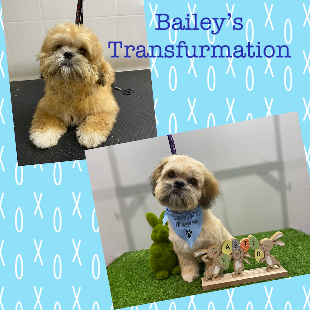 St Clair Dog Grooming |  | 8 Mezen Pl, St Clair NSW 2759, Australia | 0431343516 OR +61 431 343 516