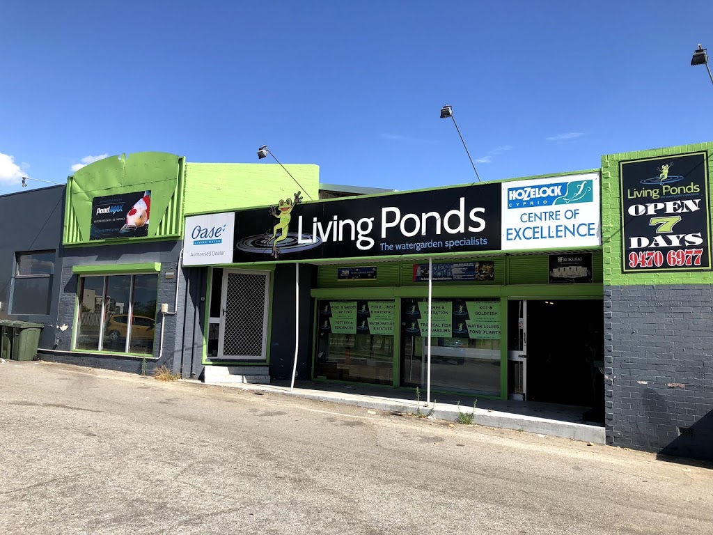 Living Ponds | pet store | 363 Shepperton Rd, East Victoria Park WA 6101, Australia | 0894706977 OR +61 8 9470 6977