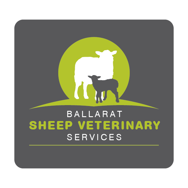 Ballarat Sheep Veterinary Services | veterinary care | 241 Aubreys Rd, Magpie VIC 3352, Australia | 0437941774 OR +61 437 941 774
