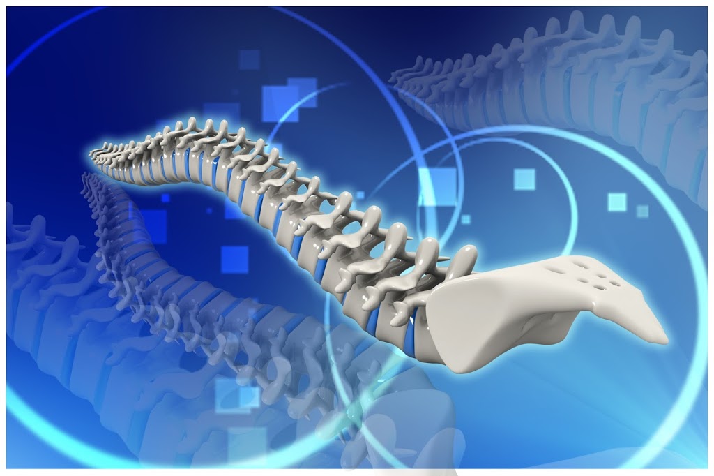 Aligning Canine Chiropractic | 1165 Main Rd, Eltham VIC 3095, Australia | Phone: (03) 9431 3502