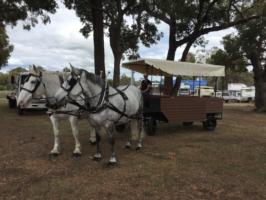 Pinjarra Horse & Wagon Tours | 400 Henry St, Pinjarra WA 6208, Australia | Phone: 0411 431 917