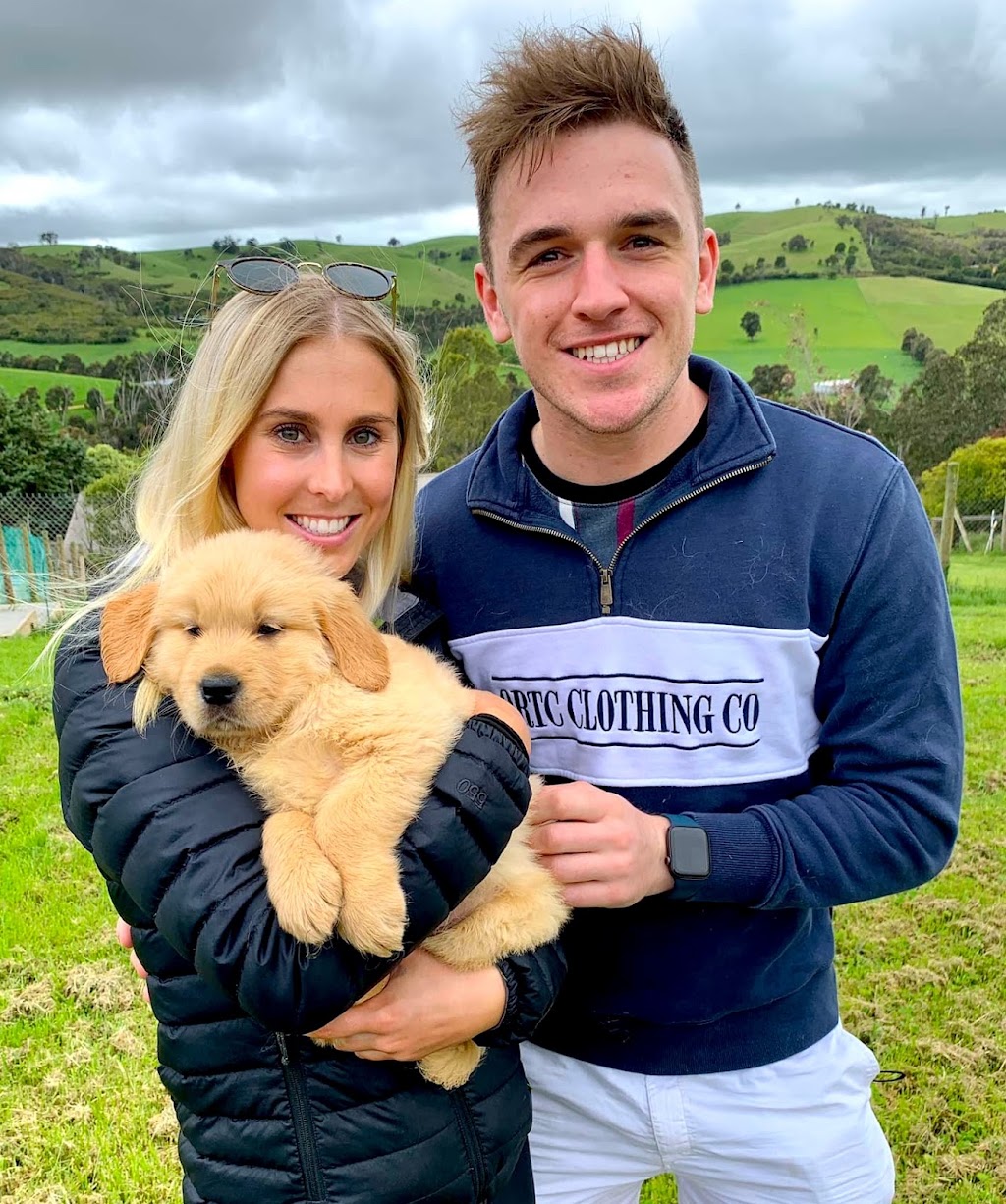 Crystal Creek Kennels - Purebred Golden Retrievers | 1043 Break Oday Rd, Glenburn VIC 3717, Australia | Phone: 0481 063 435
