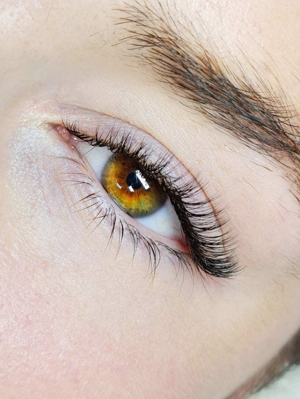 Lashes by Sammi | 21 Attwater Cl, Junction Hill NSW 2460, Australia | Phone: 0477 958 691