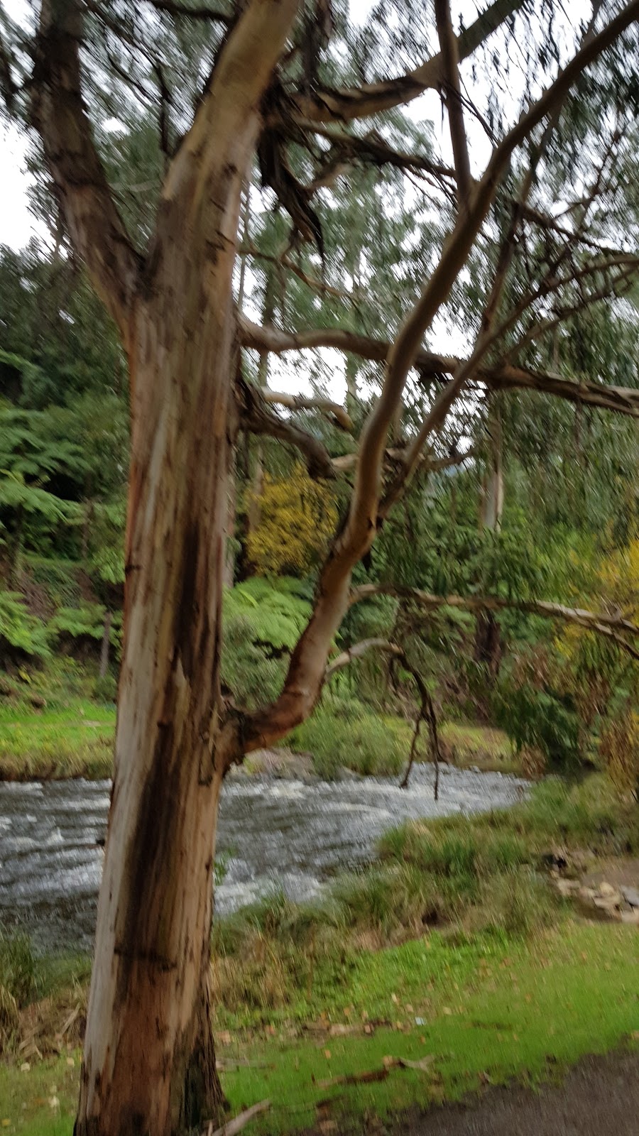 OShannassy Aqueduct track | park | Rd 18, Warburton VIC 3799, Australia