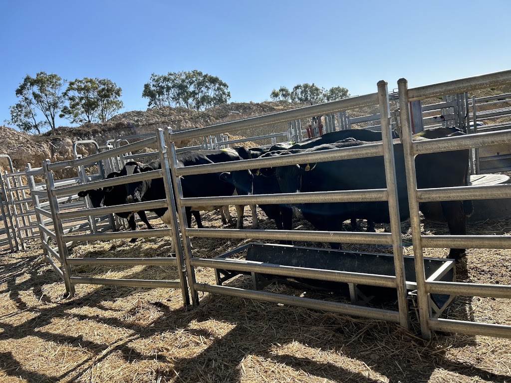Dairy Adventures | 395 Belvedere Rd, Mannum SA 5238, Australia | Phone: 0499 007 672