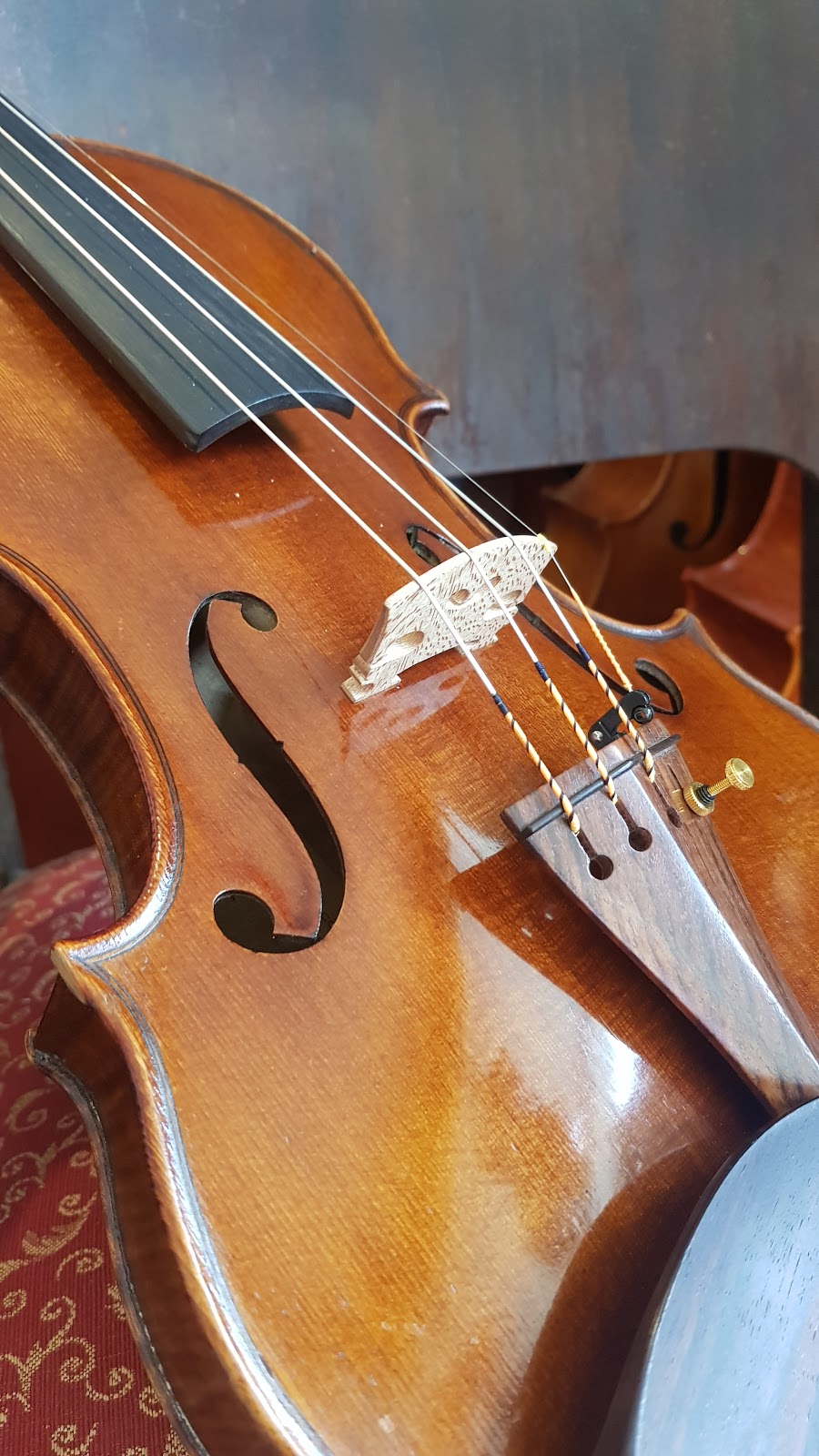 The Violin Studio | electronics store | 29 Lamington Terrace, Dutton Park QLD 4102, Australia | 0738446090 OR +61 7 3844 6090