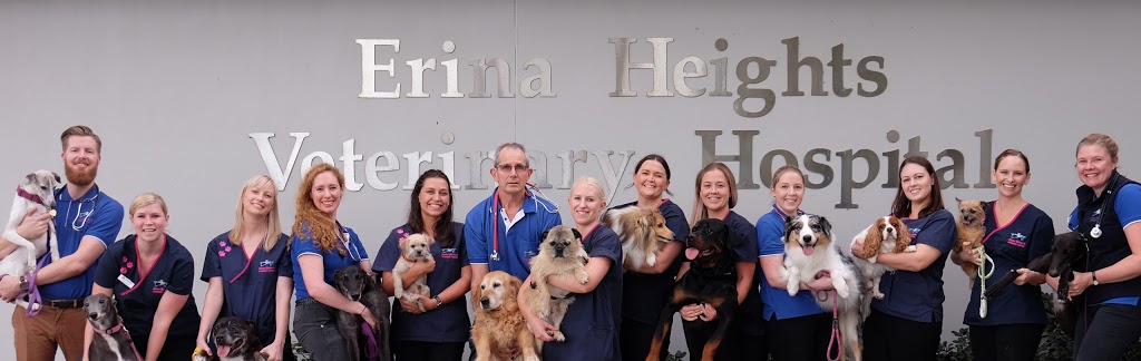 Erina Heights Vet Hospital | veterinary care | 661 Central Coast Hwy, Wamberal NSW 2260, Australia | 0243845888 OR +61 2 4384 5888