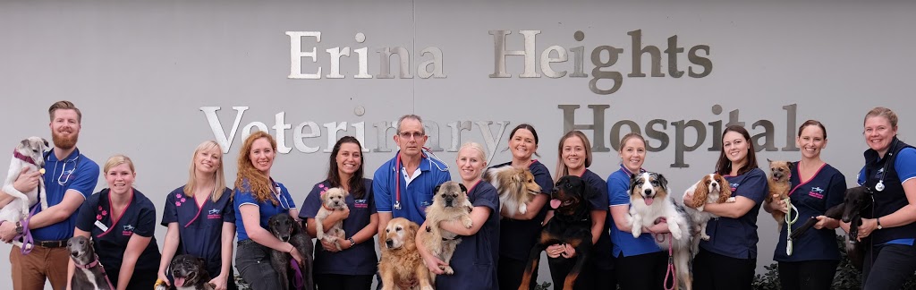 Erina Heights Vet Hospital | 661 Central Coast Hwy, Wamberal NSW 2260, Australia | Phone: (02) 4384 5888