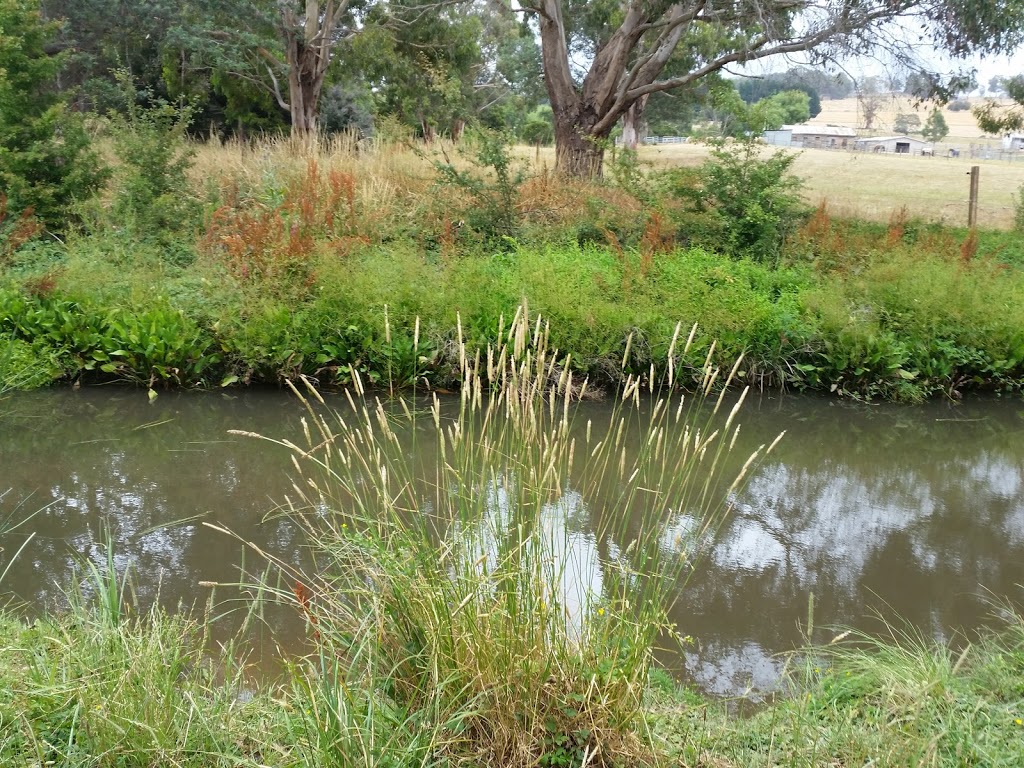 Westbury Town Common | park | Mary St, Westbury TAS 7303, Australia